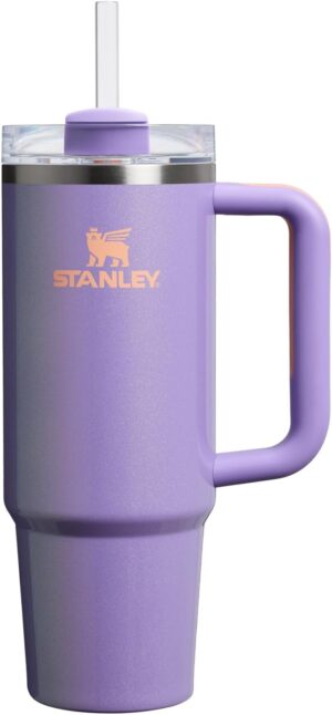 Stanley Quencher H2.0 Tumbler with Handle and Straw 30 oz | Flowstate 3-Position Lid | Cup Holder Compatible for Travel | Insulated Stainless Steel Cup | BPA-Free | Periwinkle Shimmer