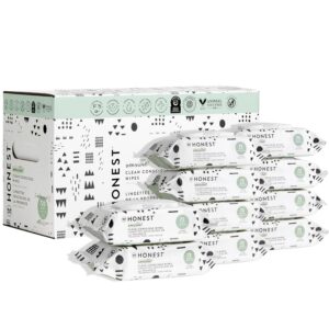 The Honest Company Clean Conscious Multi-Use Wipes | Hypoallergenic + Unscented for Sensitive Skin | Over 99% Water, Compostable, Plant Based, Baby Wipes | Pattern Play, 720 Count